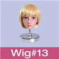 Wig13