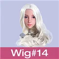 Wig14