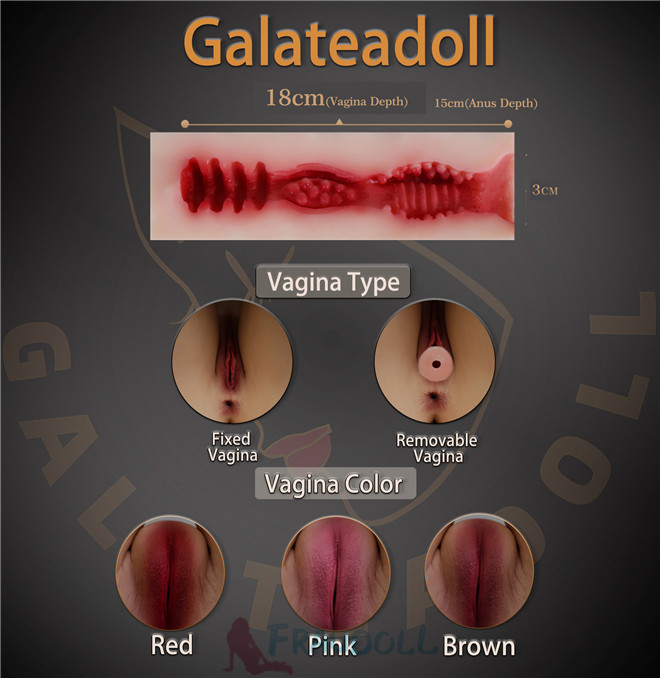 vagina type color